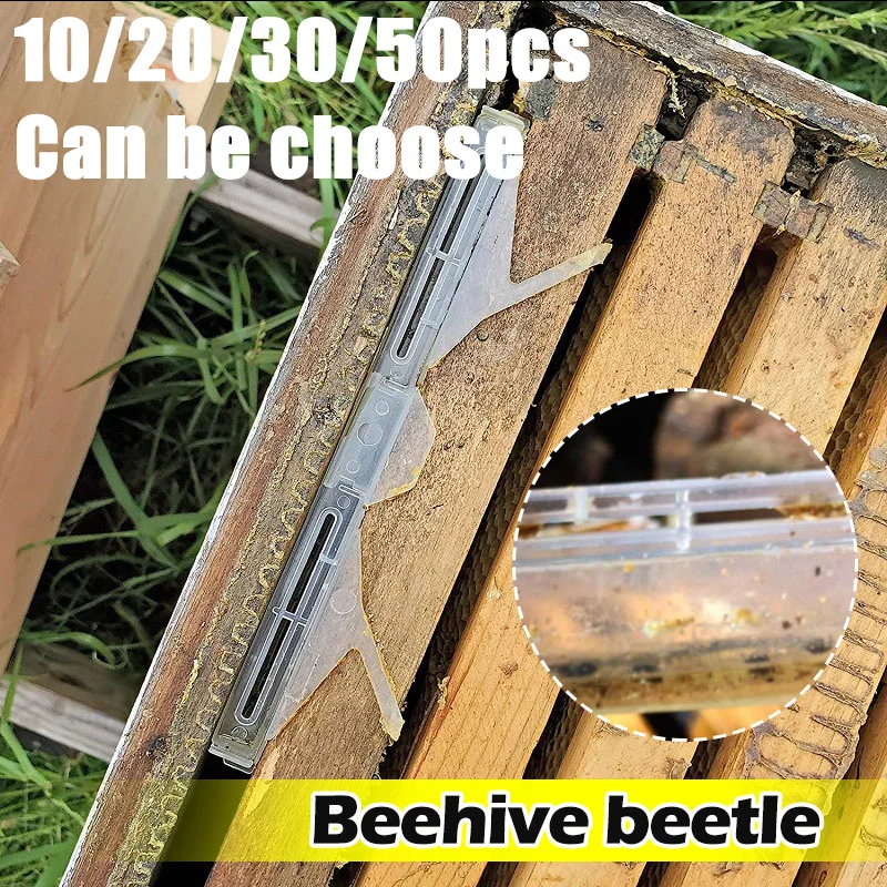 

10/20/30/50 Pcs Beehive Bettle Trap Baitable Trap Collector Nest Insect Trap Bee Hive Insect Catcher Killer Beekeeping Tools