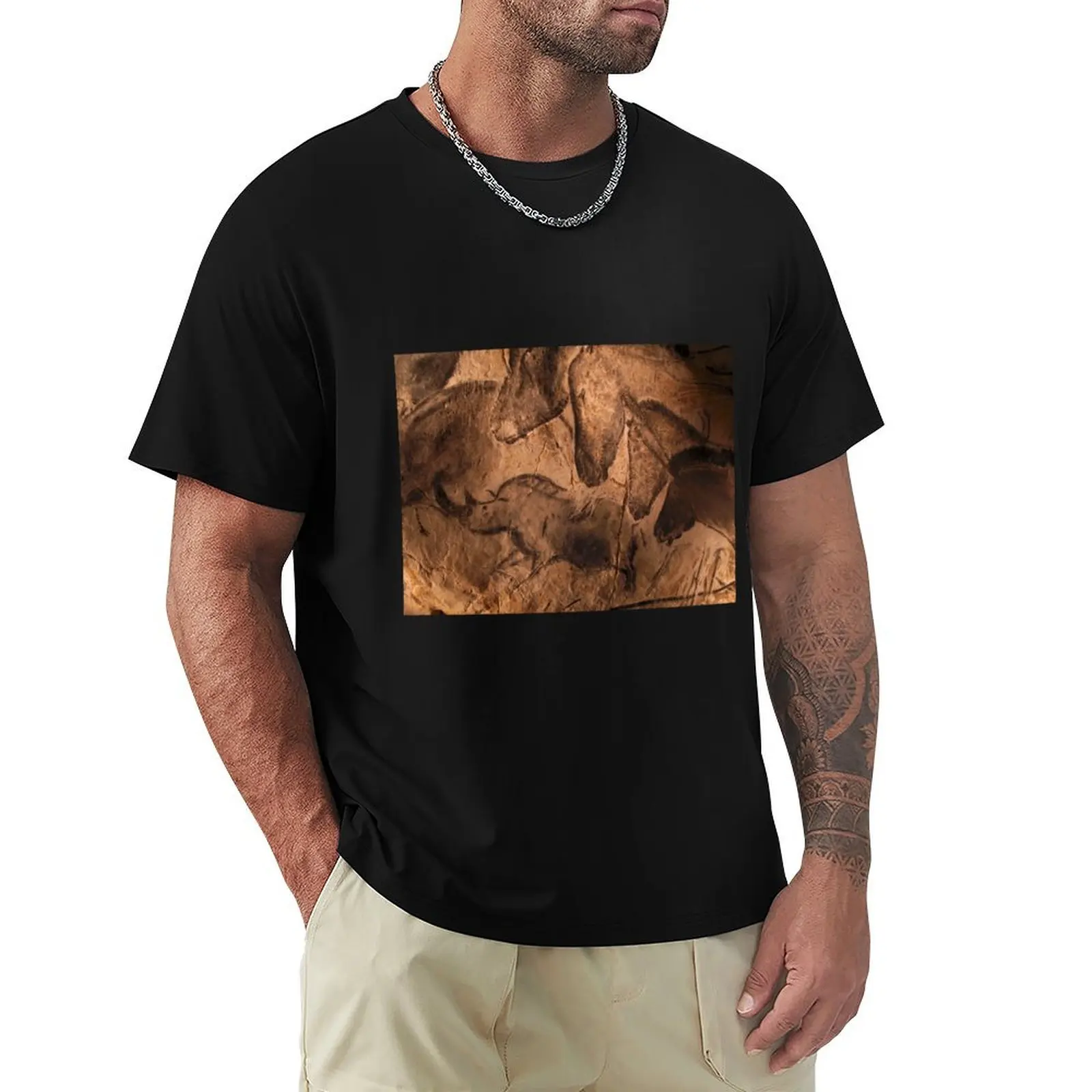 

Stone-age cave paintings, Chauvet, France (C009/7647) T-Shirt animal prinfor boys street wear mens graphic t-shirts anime