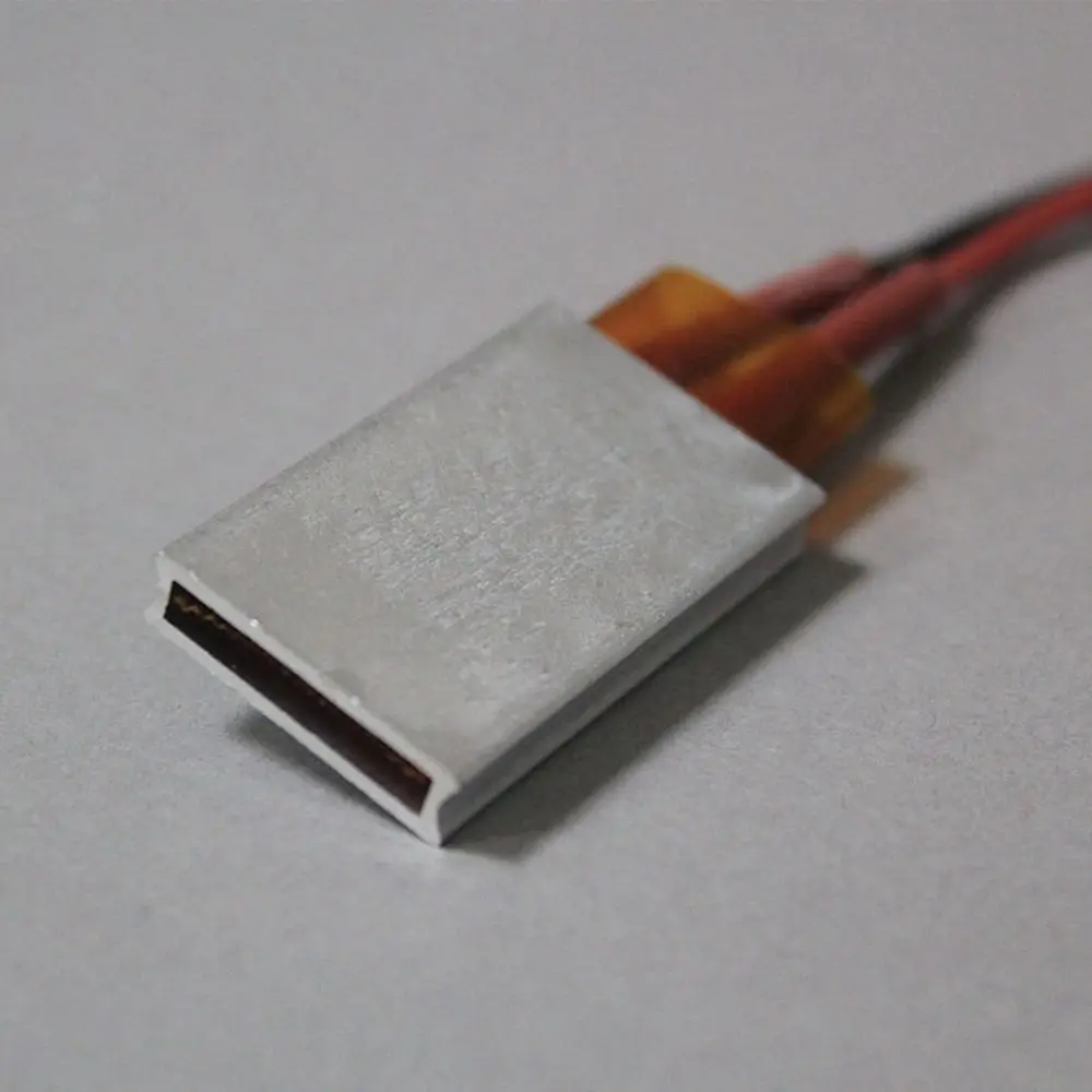 Tools 12/24/36/48/110/220V Poultry Incubator Hair Dryer Accessories Heating Element Curlers Heater Celsius PTC Heaters