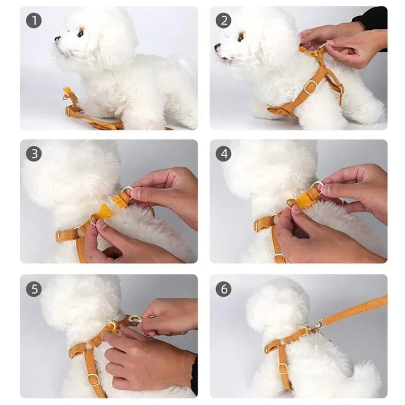Arnés para perro grande cinturón de seguridad para adiestrar_voghion.com