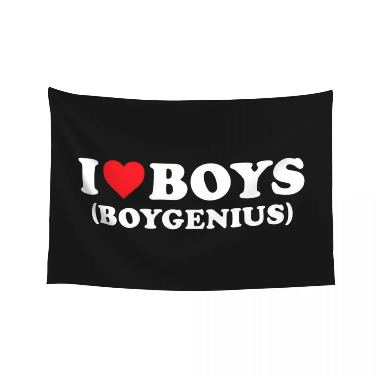 

boygenius 90's Tapestry Room Aesthetic Decor Aesthetic Room Decor Aesthetic Decoration Room Decor Korean Style Tapestry