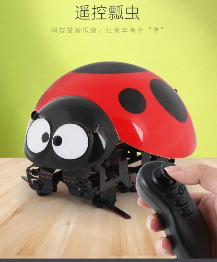 Smart Educational Toys