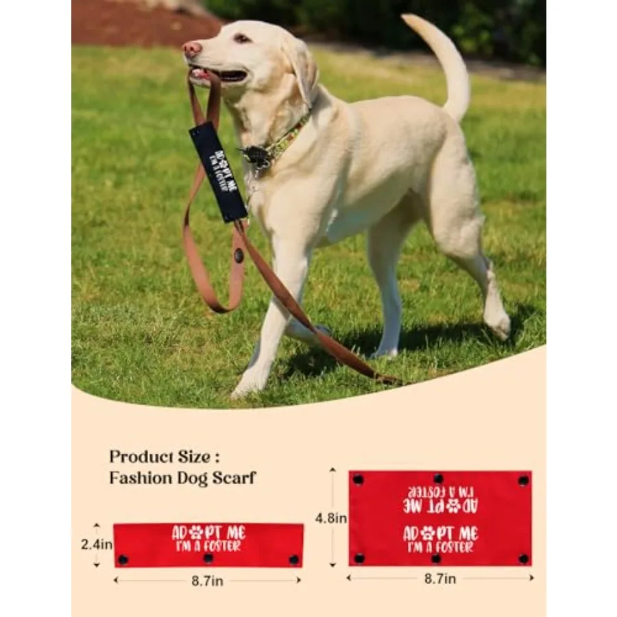 Adopt Me I'm A Foster 2 Set Funny Red and Black Dog Leash Sleeve Wrap Hanging ID Patch Tag for Foster Puppy Gift for Dog Owner