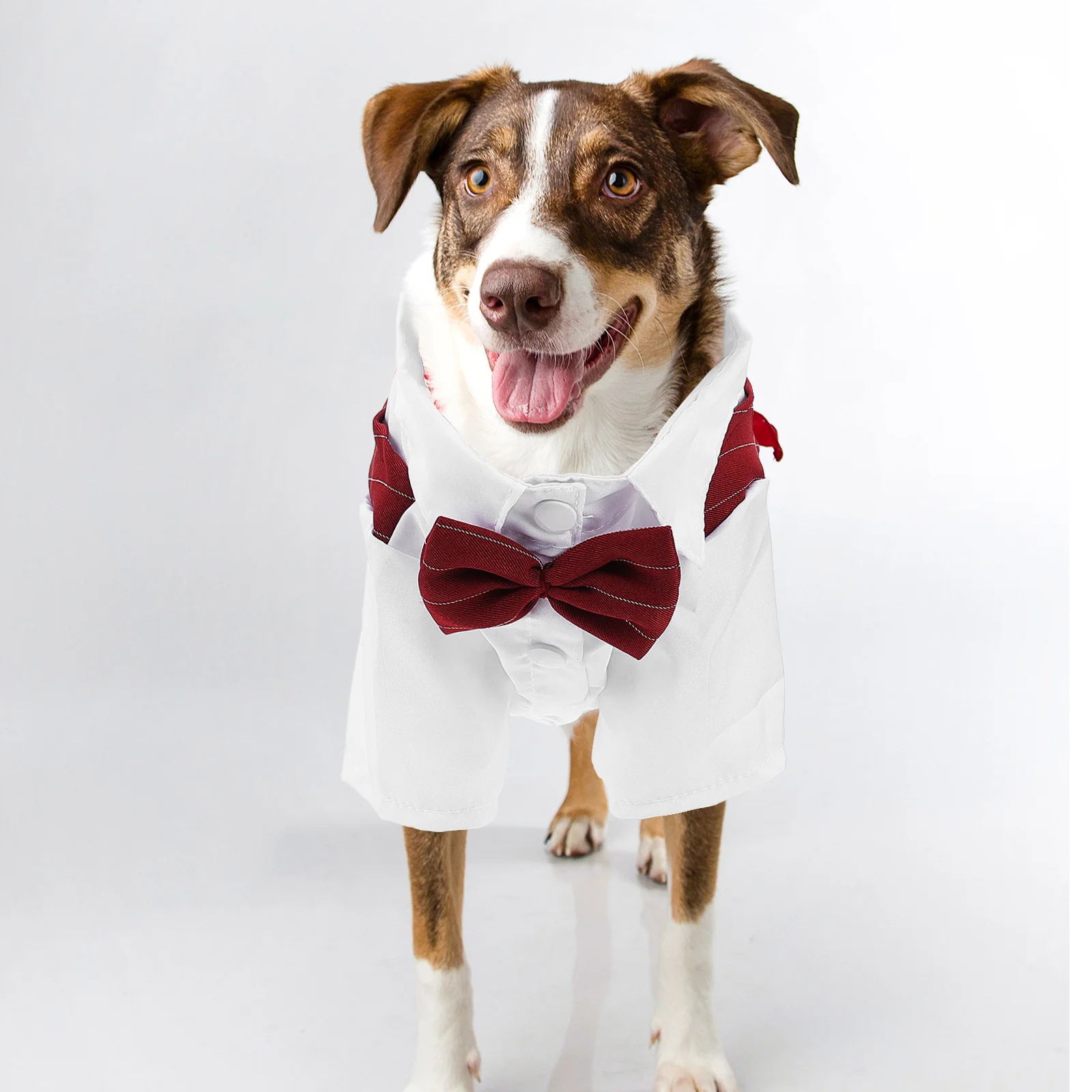 

Dress Clothes for Pets Puppy Collars Dog Wedding Tuxedo Tie Polyester Suits Medium Miss Formal