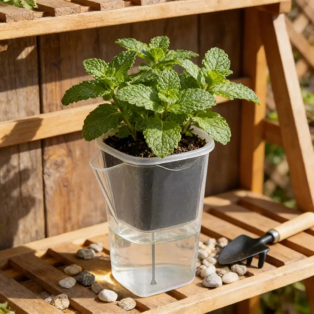Propagation Plant Pot Carnivorous Plant Pot Mini Self Watering Plant Pots with Reservoir Plastic Propagation for Seedlings