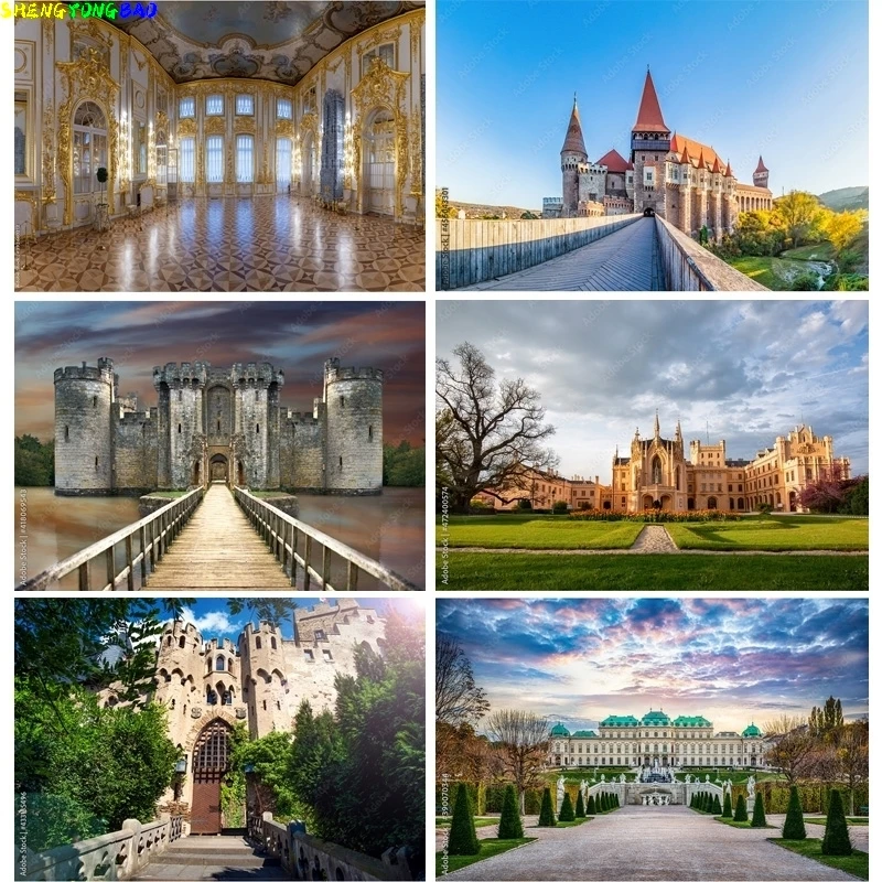 

Natural Scenery Photography Background Landscape Travel Castle Photo Backdrops Studio Props 211226 CB-05