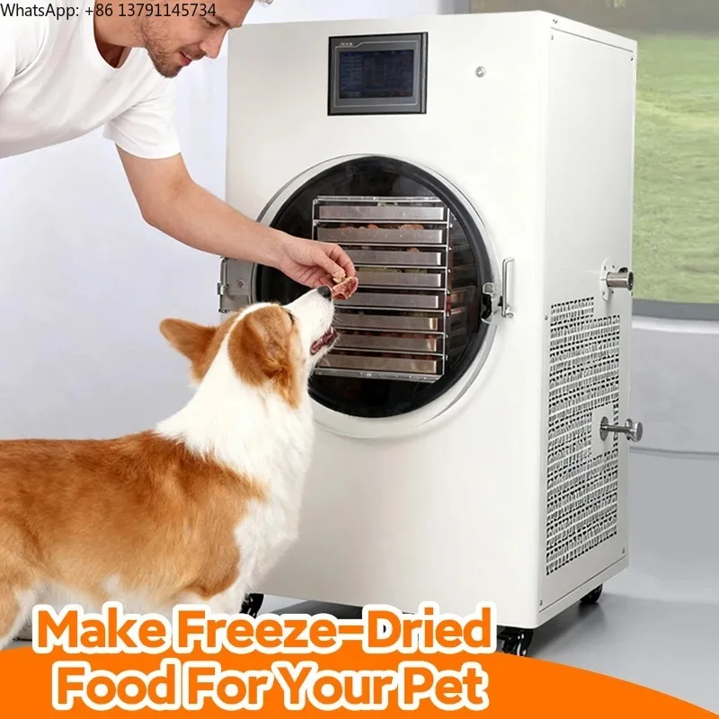2026 Industrial Lyophilize Machine 30kg Freeze Dryer With Oilfree Vacuum Pump Cheapest Price