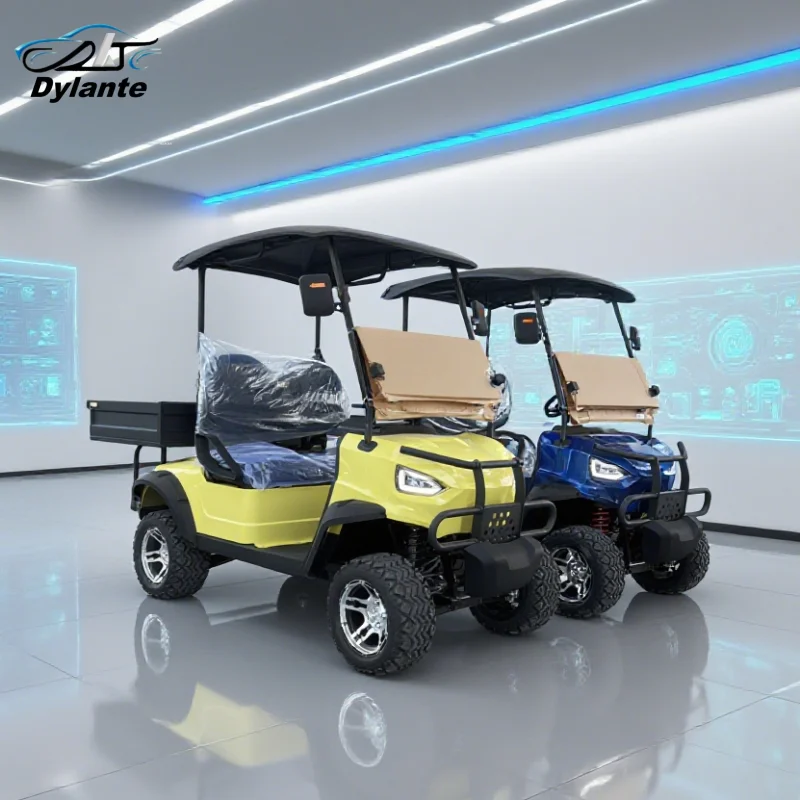 Off Road 4 Wheel Electric Golf Cart 2 Seats 2 Passengers 5kw 60V Lithium Battery Golf Buggy With Rear Cargo Box