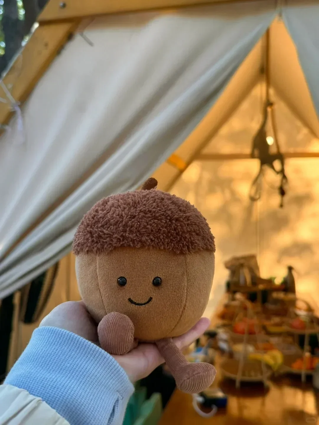 

Jelly Cat Fun Brown Hazelnut Acorn Soft Nut Plush Doll With Gift Box Home Decoration Holiday Gift Cat And Dog Interactive Toy