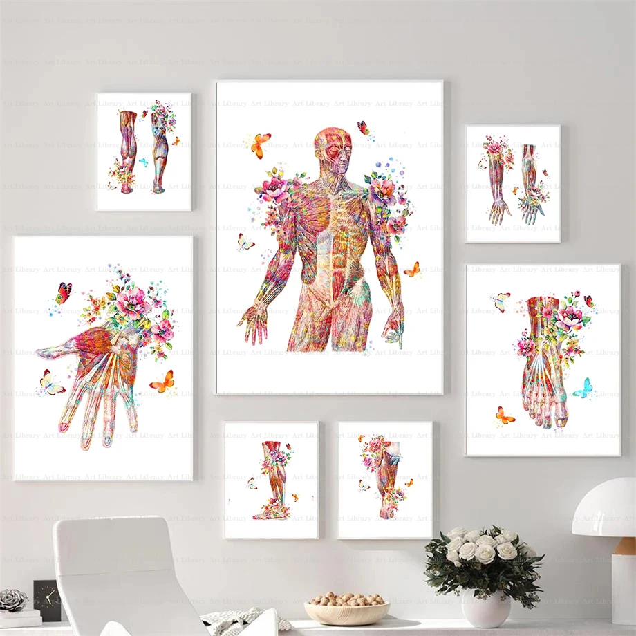 Human Muscle Anatomy Art Poster Musculoskeletal System Canvas Painting Wall Prints Medical Education Home Clinic Decor