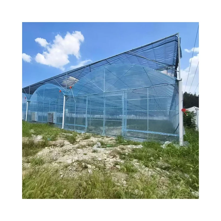 200 Micron Light Diffusion Greenhouse Film UV Resistant Anti-Drip Agricultural Plastic Cover for Tomato Vegetable Plant Shed