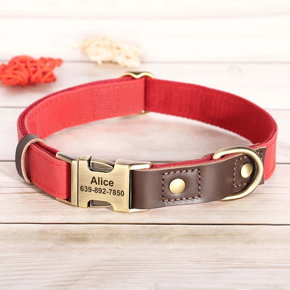 Thumbnail 4 - #23 Best Dog Collars to Buy In 2026