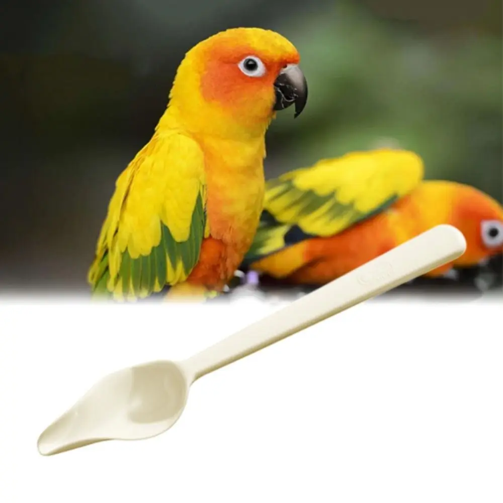 

Plastic Bird Milk Powder Feeder Long Handle Thickened Bird Feeding Spoon Heat-resisting Chicks Medicine Spoon for Feeding