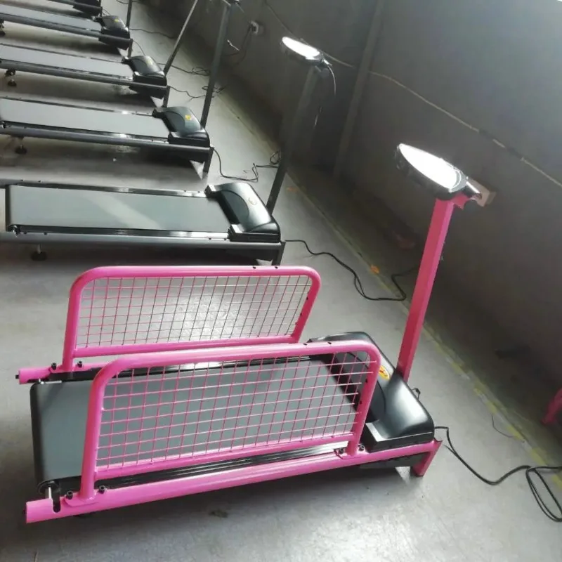 2025 WT-C100 High Quality Dog Walking Sport Machine Pet Electric Treadmill