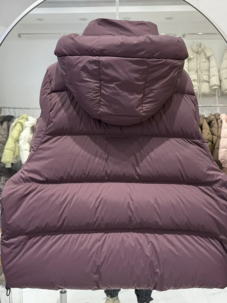 Chaqueta de plumón con capucha de estilo coreano para mujer, recién llegado, chaqueta acolchada gruesa con capucha, manga larga para invierno, 2025