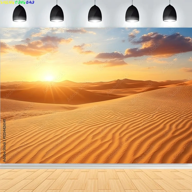 Scenic Sahara Desert Sunlight Sky Photography Backdrops Morocco Africa Landscape Sunset Sand Dune With Bushes Background DS-02