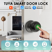 Tuya Electronic Door Lock Smart External Door Lock Fingerprint Key Smart Home Unlock Apartment Office Knob Handle