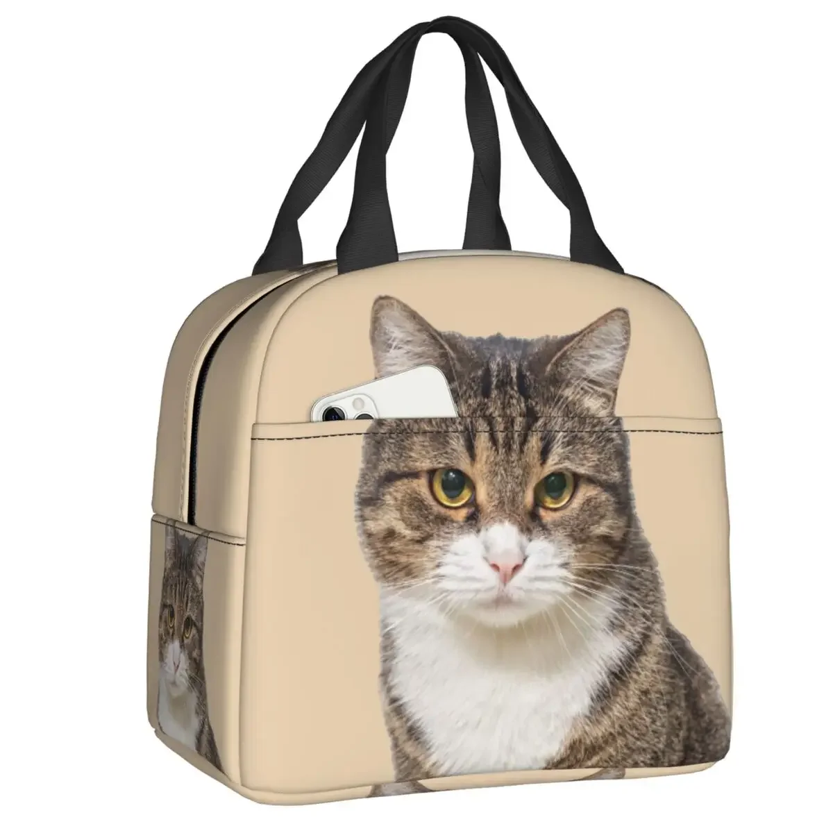 Funny Cat Insulated Lunch Bag for Women Men Portable Warm Cooler Thermal Lunch Box Office Work School Picnic Food Tote Bags