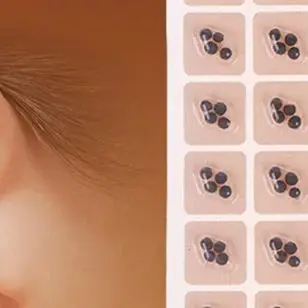 400 parches para el cuidado de los oídos, semillas, acupuntura, Auricular, pegatinas desechables para los oídos, terapia de masaje, parche de aguja, Auriculoterapia Auricular