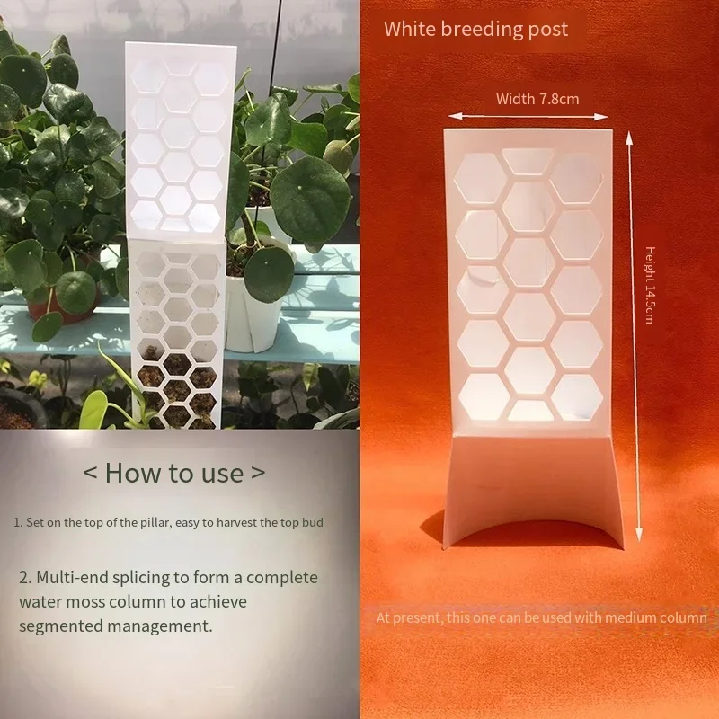 3er-Set Moosstangen für Zimmerpflanzen – Kletterhilfen und Pflanzenstützen für Monstera – Moosstäbe für Pflanzenwachstum – Gartenzubehör – Detail 2