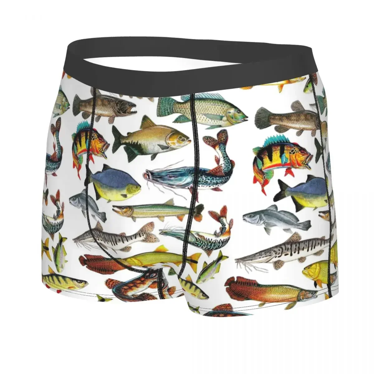 Various Colorful Tropical Fish Men's Boxer Briefs, Highly Breathable Underpants,High Quality 3D Print Shorts Birthday Gifts