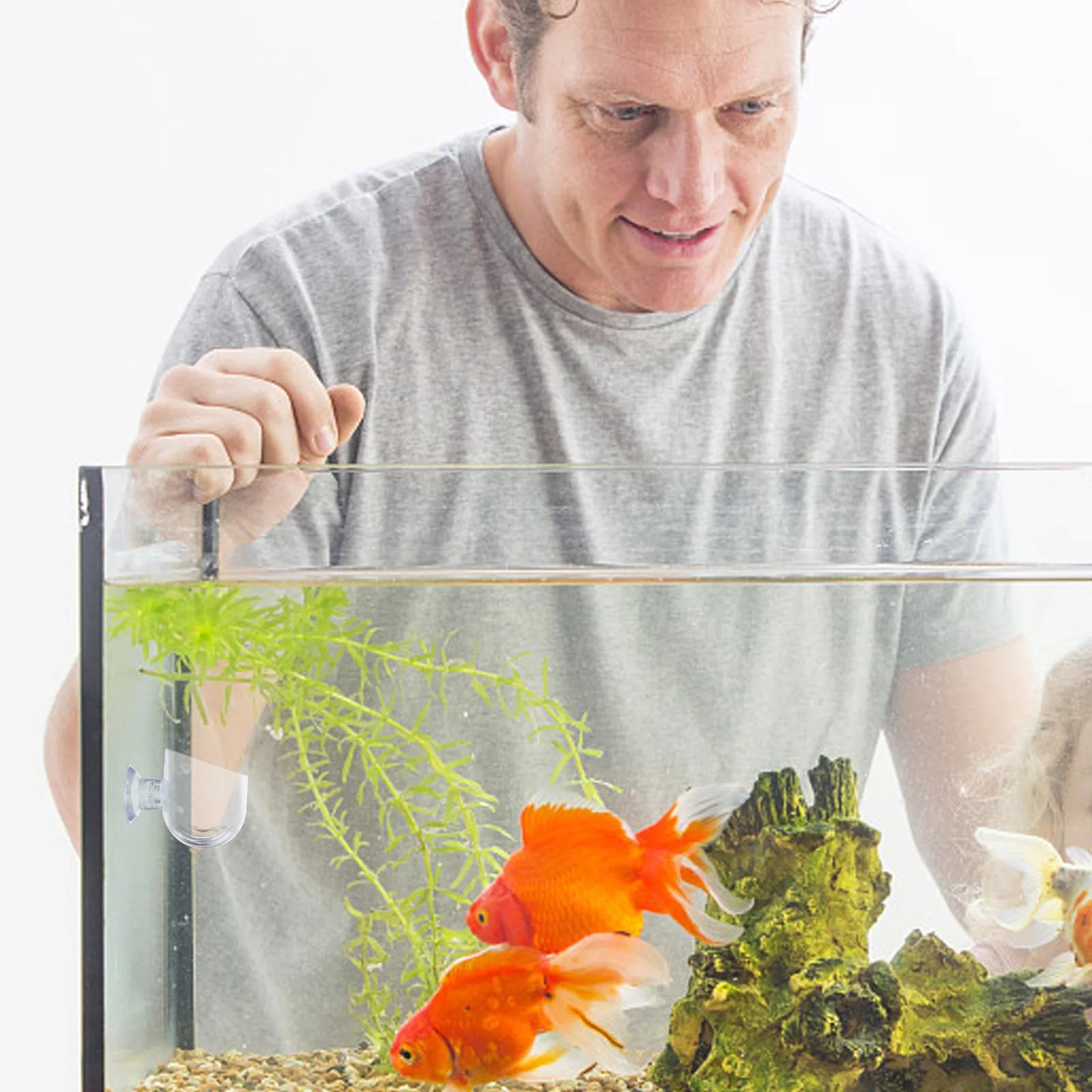 

4pcs Red Worm Feeder Cup Suction Cups Fish Tank Aquarium Plant Holder Bloodworm Feeding Supplies Acrylic Durable