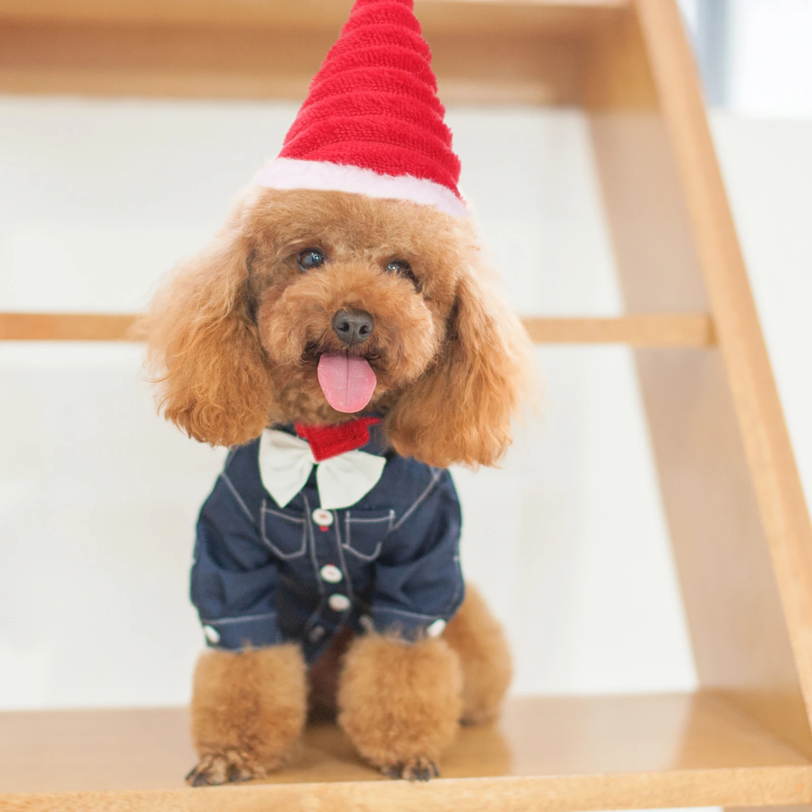 

Santa Hat Hats Cat Costume Party for Dogs Cover Winter Knitted Guinea Pig Newborn