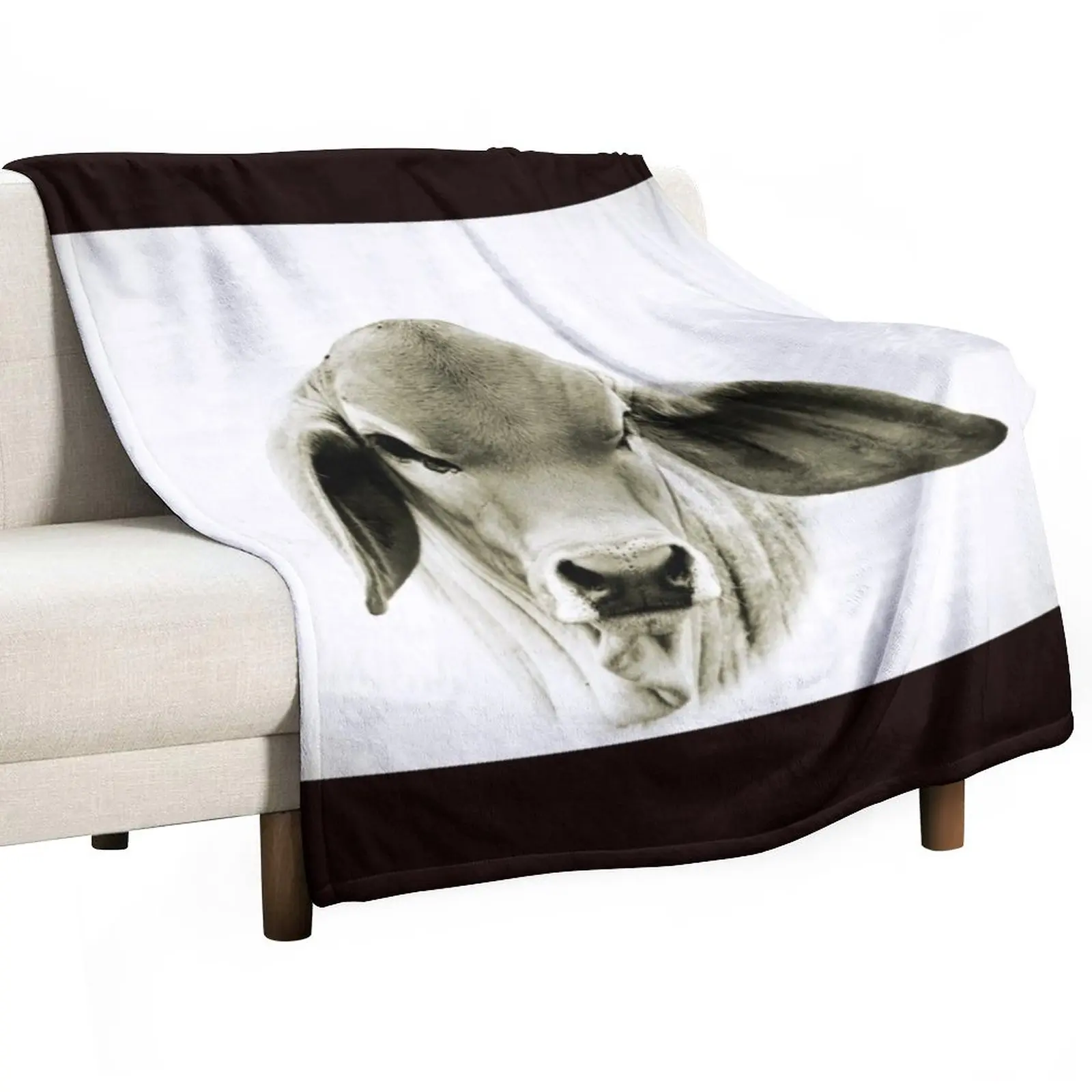 

New BRAHMAN CALF, PORTRAIT, WALL ART Throw Blanket christmas decoration sofa bed Blankets