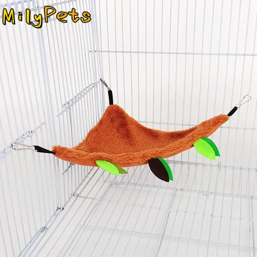 Hedgehog Guinea Pig…