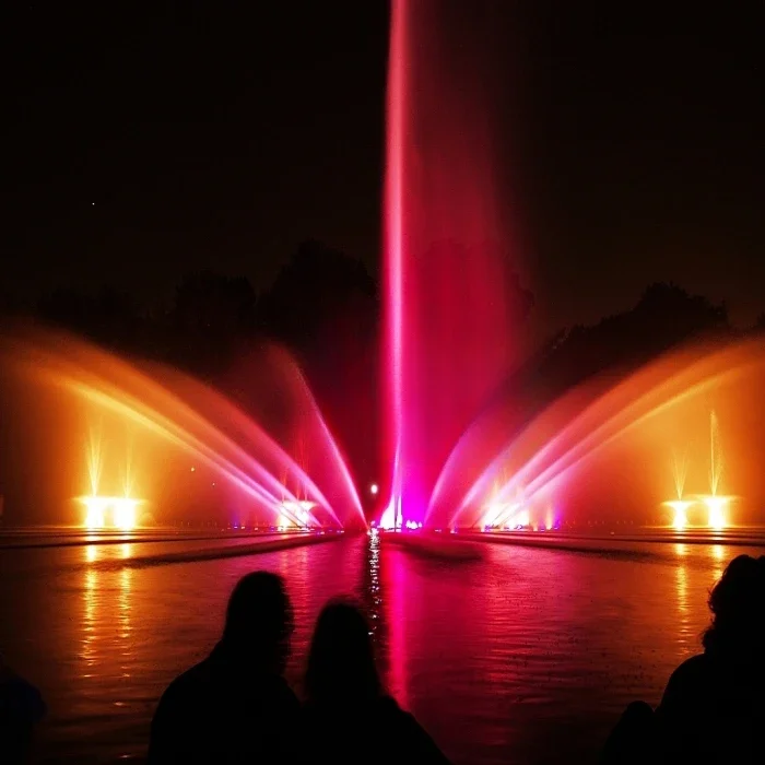 Fonte De Água Portátil Para Pond, Flower Shape, Flutuante