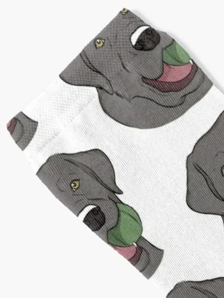 Silver Labrador with Ball Socks new year hip hop Men's Socks Women's