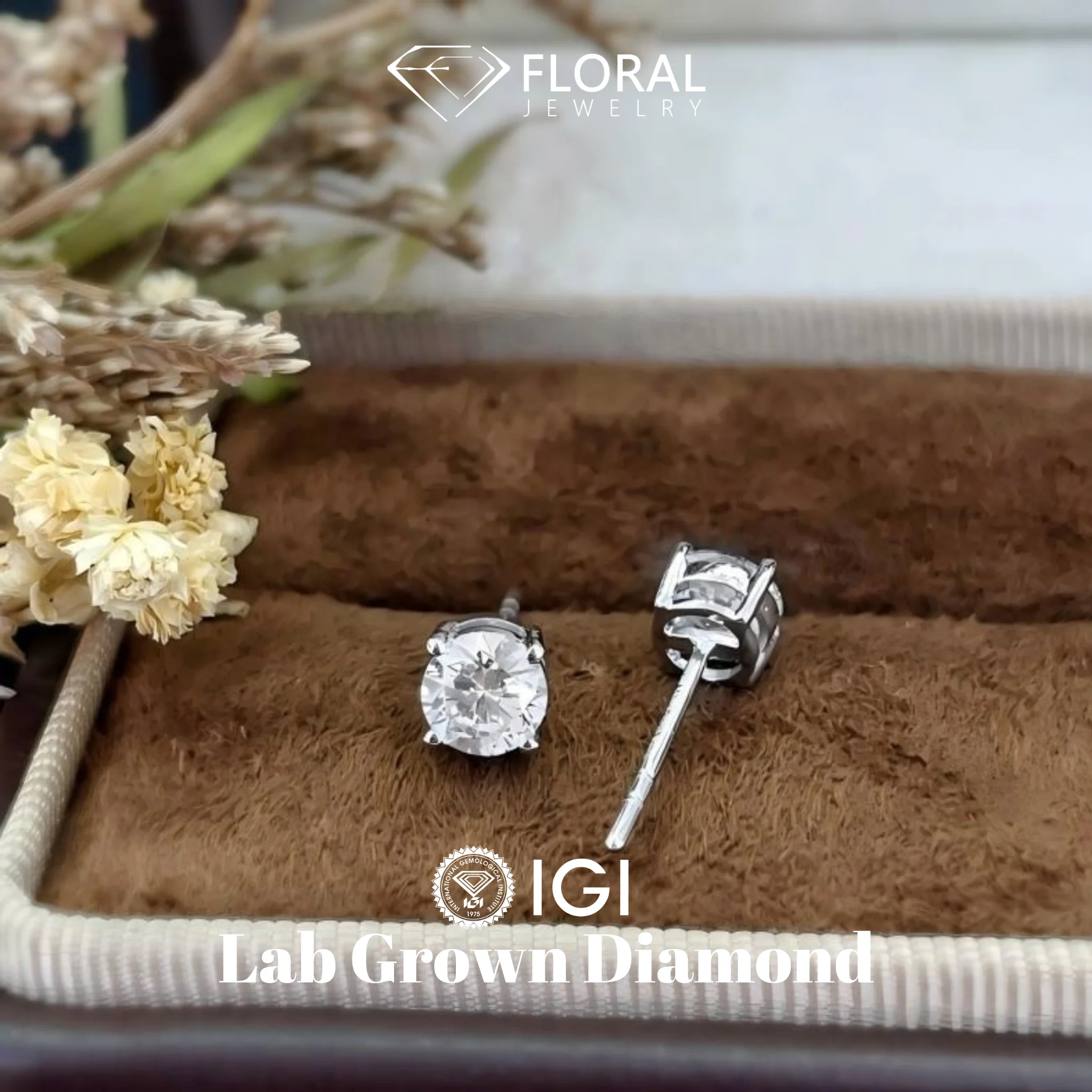 Pendientes de Oro 14k 18k y Platino con Diamantes CVD de Laboratorio, 1ctw 2ctw 3ctw, Conjunto de Pendientes Elegantes Tipo Martini Solitaire de 4 Puntas para Mujer, IGI