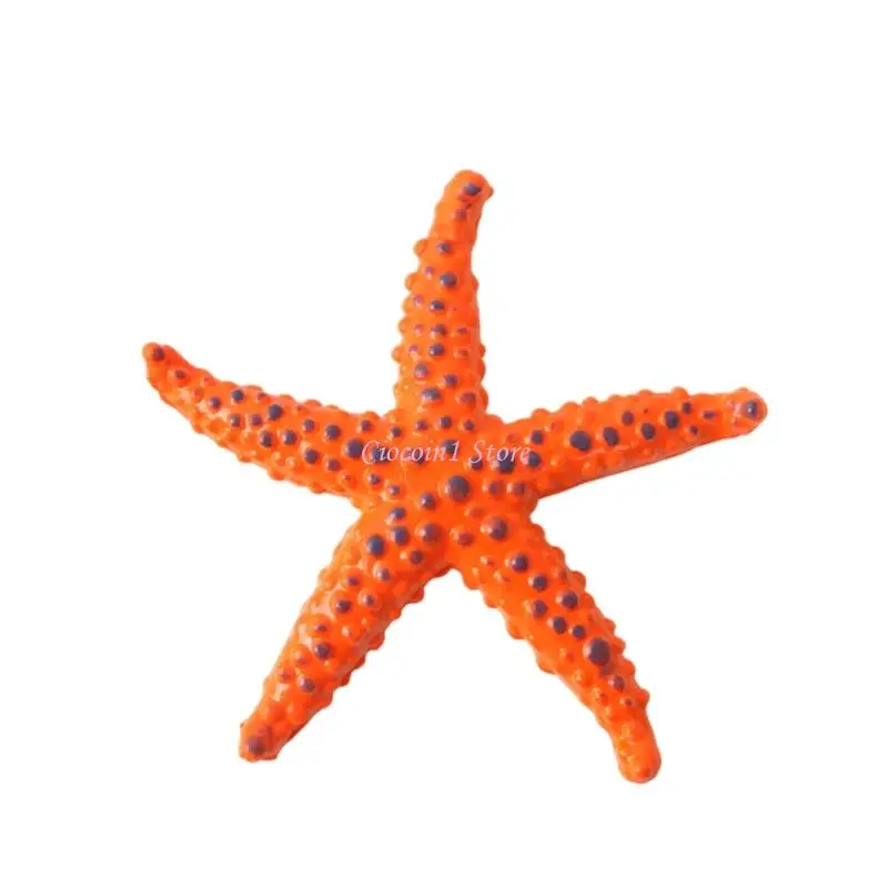 Y1UB Star Star Fish Accesorios piscina Pack 8 Toy figuras animales mar para niños Entrenamiento buceo del