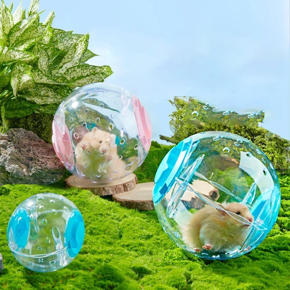 Hamster Exercise Ball Transparent Hamster Running Ball Wheel With Traction Rope For Small Animals Pet Supplies 14cm/18/cm