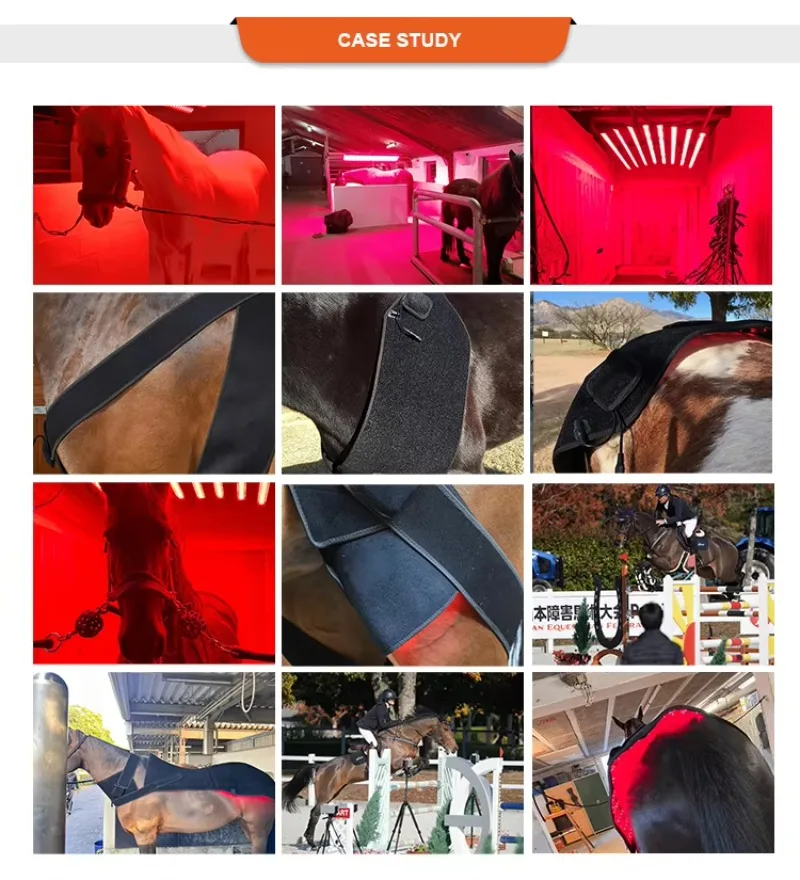 Reitsport-Rotlichttherapie-Pad, Pferdeppich, Pferd, rotes Licht, Infrarot-Lichttherapie-Decke für den Rücken