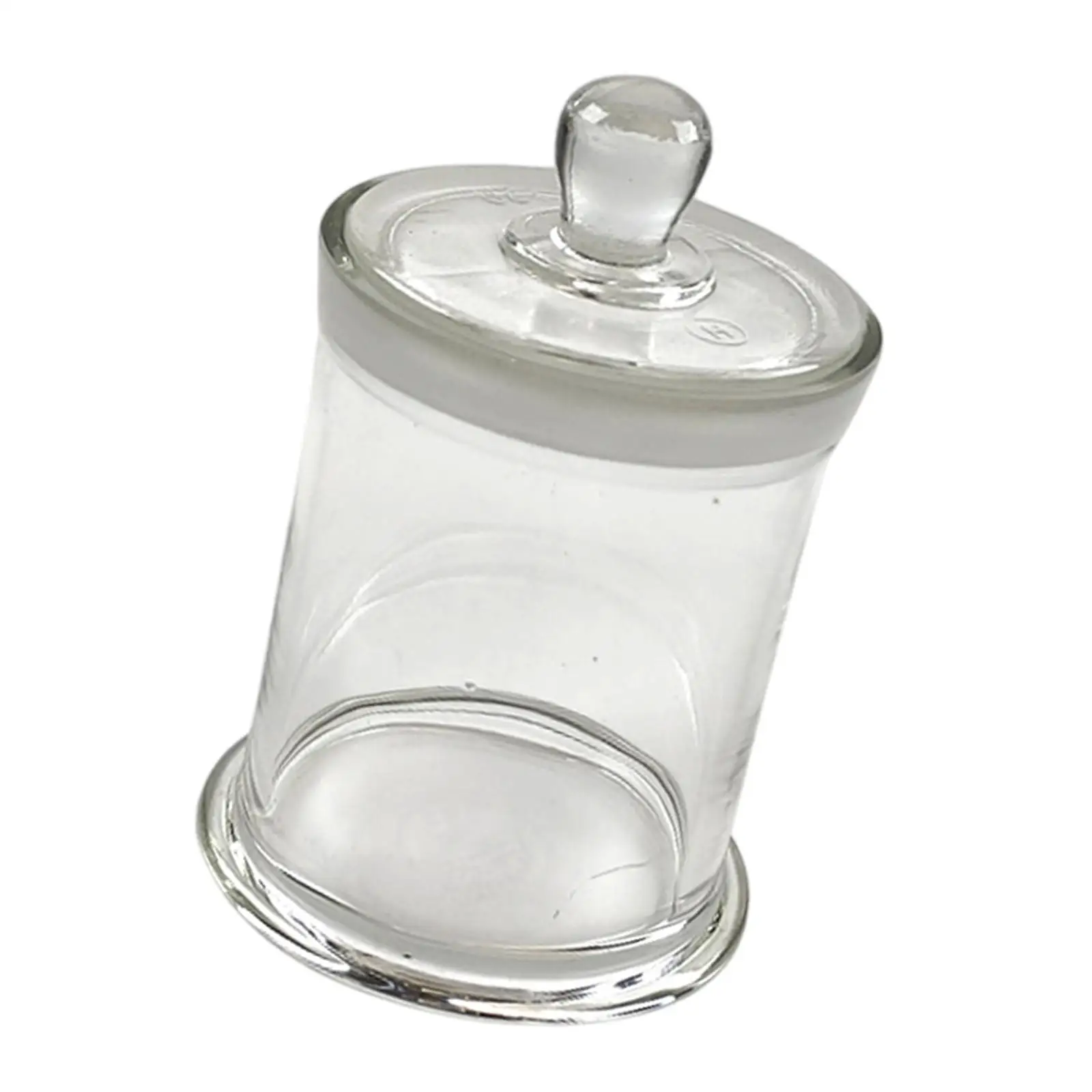 Laboratory Glass Staining Tank Chamber with Lid Accessories Sturdy Professional Versatile Slides Holder Sample Container