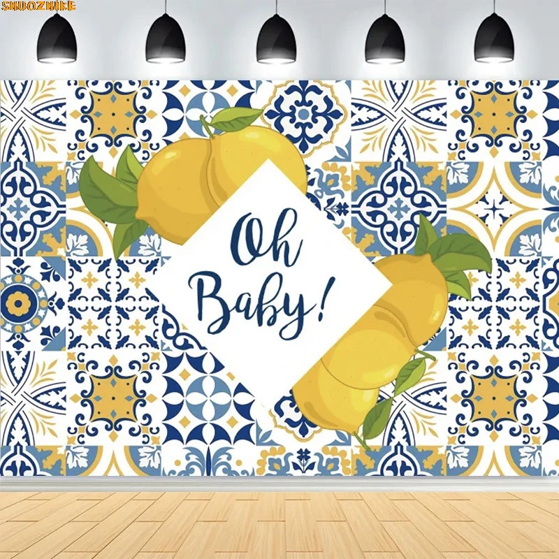 الأزرق سيراميك الليمون خلفيات للتصوير الفوتوغرافي الدعائم استحمام الطفل حفلة عيد ميلاد العروس الزفاف استوديو الصور خلفية OB-01