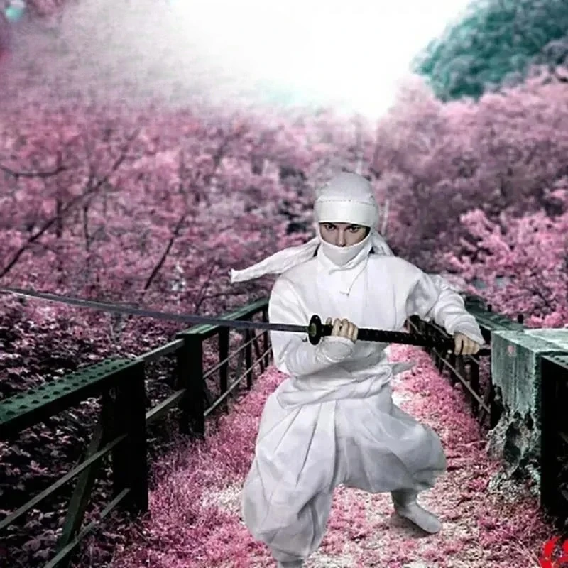 

1/6 Scale Trend Female Soldier Black/White Samurai Ninja Clothes Suit Model for 12inch Action Figures Body Accessory