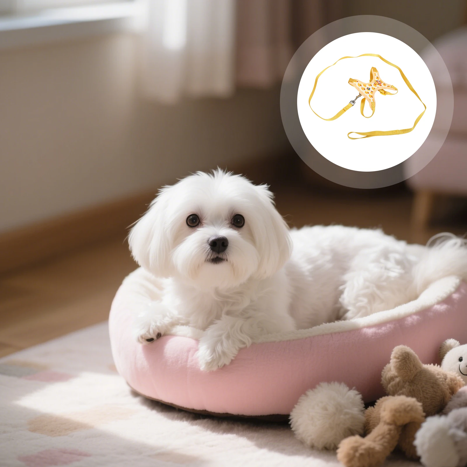 

Pet Vest For Small Dogs No Pull Dog Harness Soft Comfortable Puppy Walking Gear Adjustable Step-In Harness Leash Set Outdoor Dog