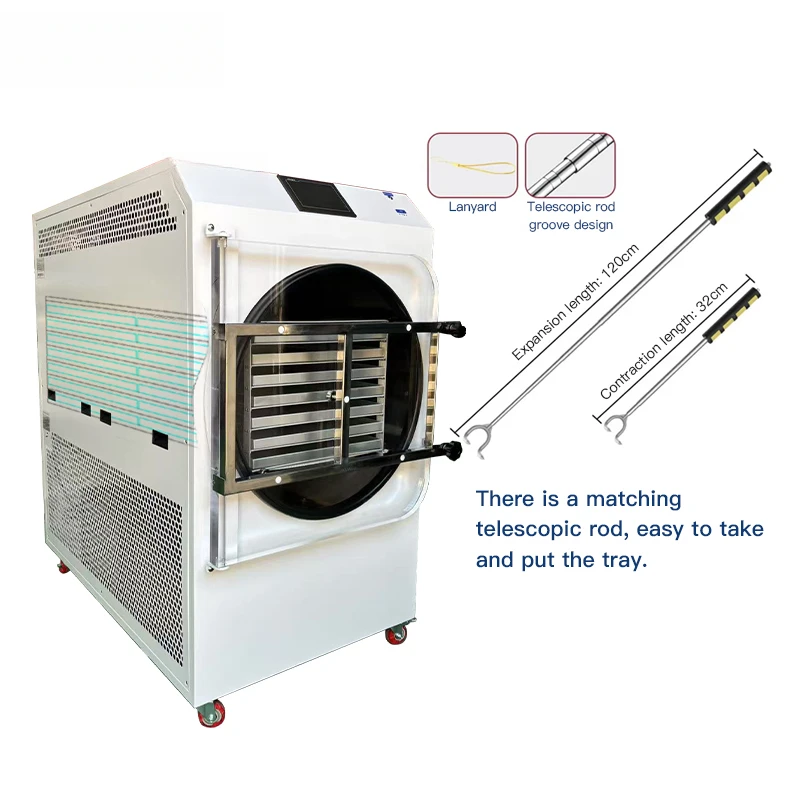 Food Vacuum Freeze Dryer Big Capacity Dryer Experience Large-Batch Freeze Drying Without Sacrificing Kitchen Space