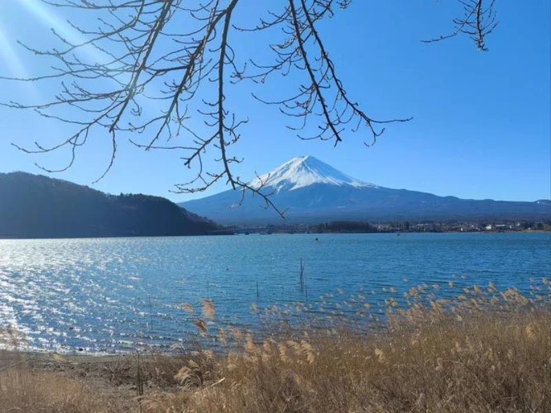 

2PCS Car Door Side Vinyl Stickers For Honda CLARITY CR-Z ELYSION FREED HR-V INSIGHT INSPIRE MOBILIO NSX Pilot Auto Accessories