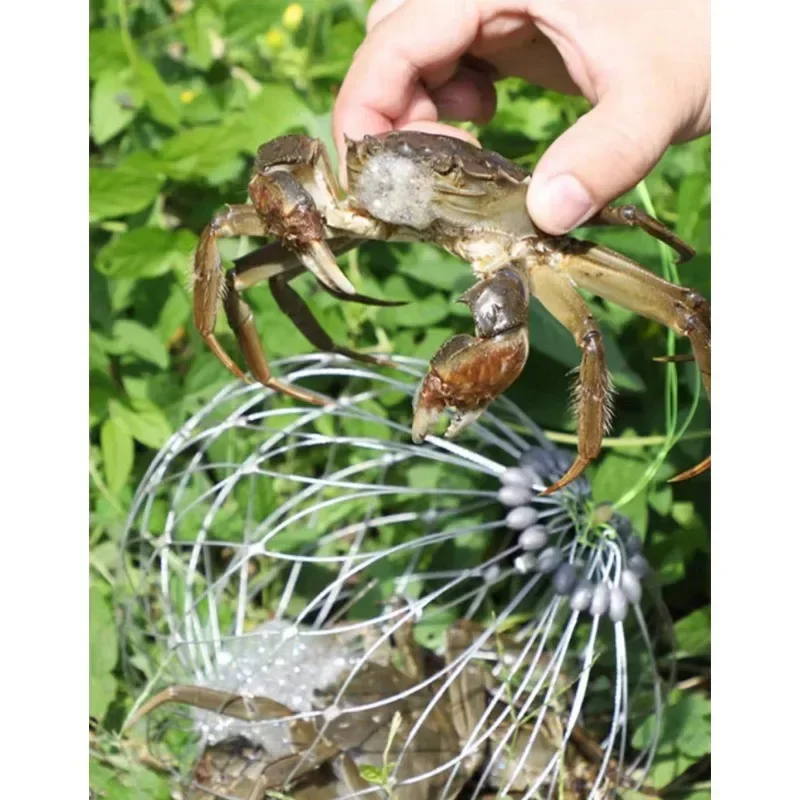 1 Stück Fischernetz Käfig Stahldraht für Salzwasser Meerwasser Outdoor Angel zubehör automatische offene Schließung Fisch krabben fallen Netz