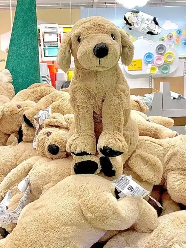 

Плюшевая игрушка-собака Голден Ретривер Гас, большая желтая подушка-собака, детская игрушка для мальчиков, подарок на день рождения, тканевая игрушка