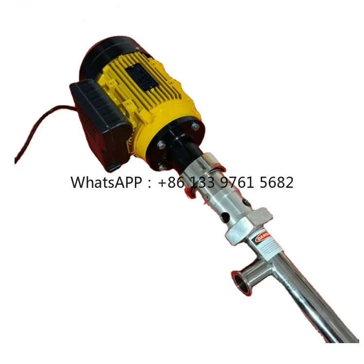 

Barrel Screw Pump for High Viscosity Liquids Screw Barrel Pump Screw Pump in Fruit Industry