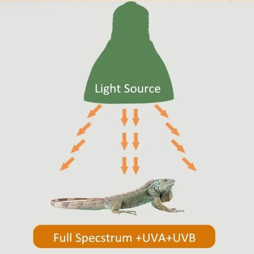 LED الزواحف ضوء لمبة الطيف الكامل 5.0/10.0 E27 تررم مصباح UVA UVB الإضاءة الصغيرة الحيوانات الأليفة التدفئة لمبة العلاج للرؤية الليلية