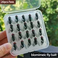 20Pcs Box