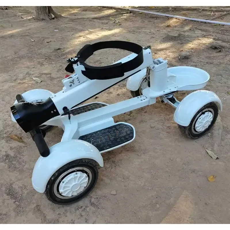 

Новый дизайн, складной электроскутер Golfbaord, 48В 14Ач, 15 км/ч, 2000Вт, с двумя двигателями, для взрослых, 4-колесная тележка, электрическая тележка для гольфа