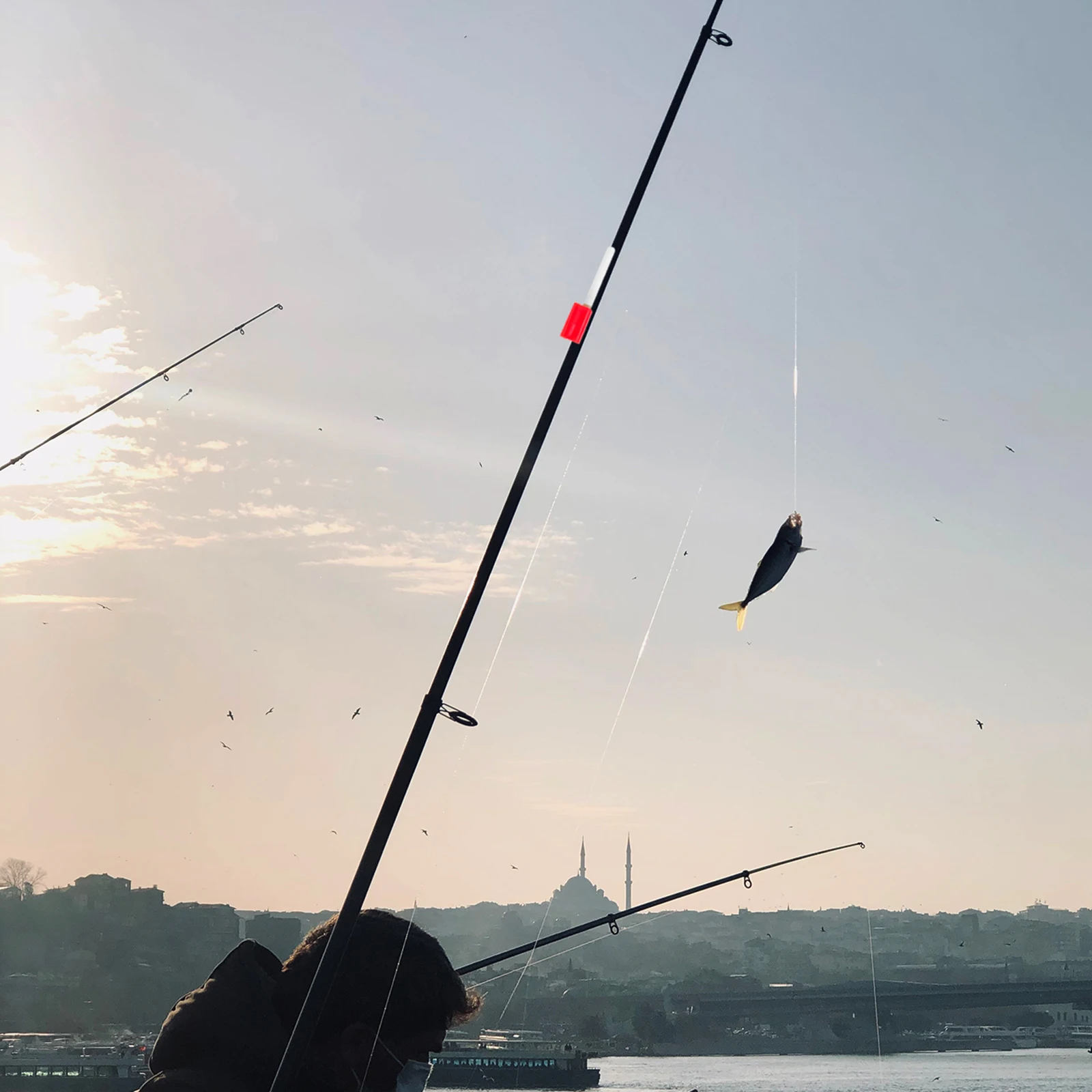 

7.7cm Glow Luminous Electronic LED Rod Lamp Waterproof Glowing for Sea Fishing Luminous Light Stick Fishing Rod Light Stick