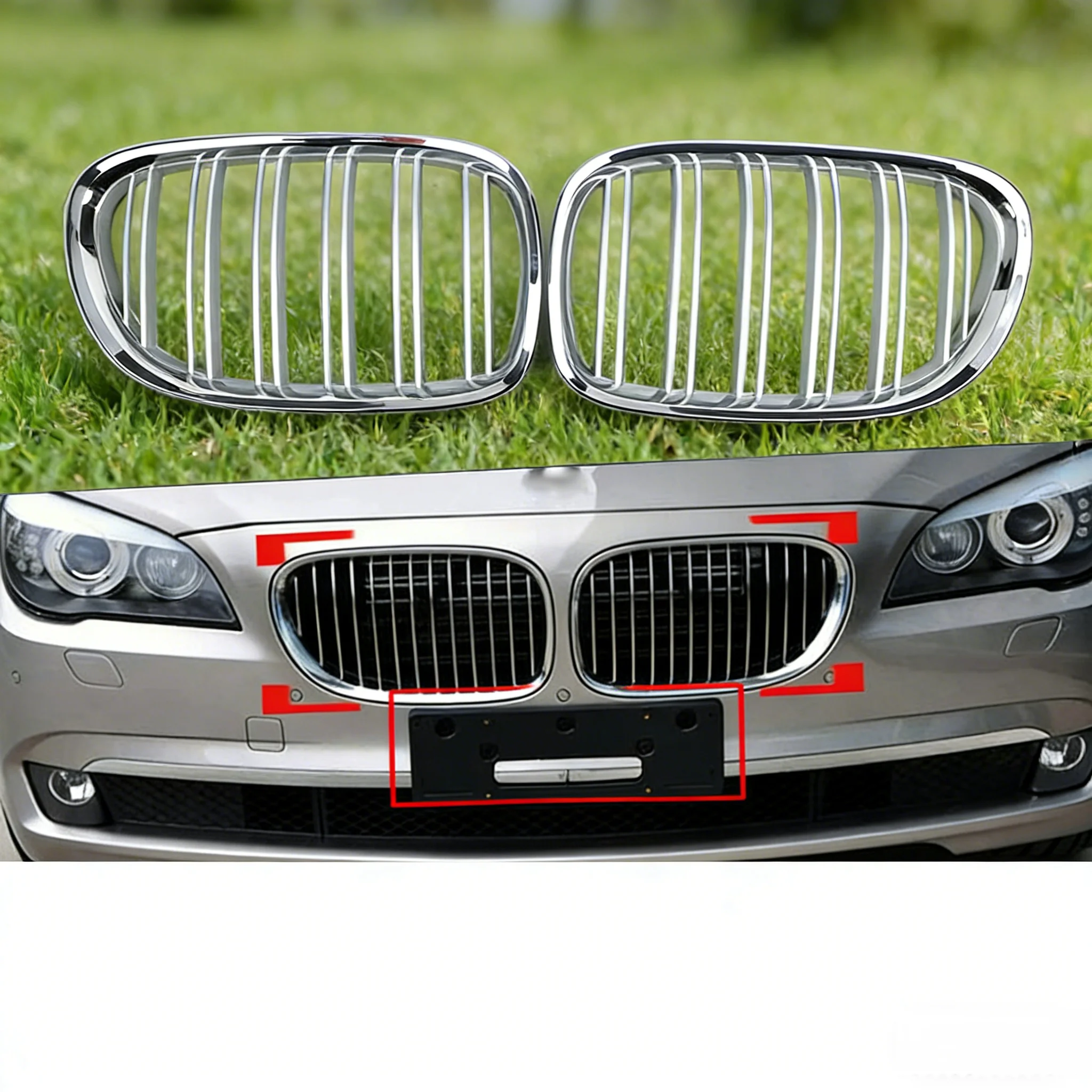 Front Kidney Grill …