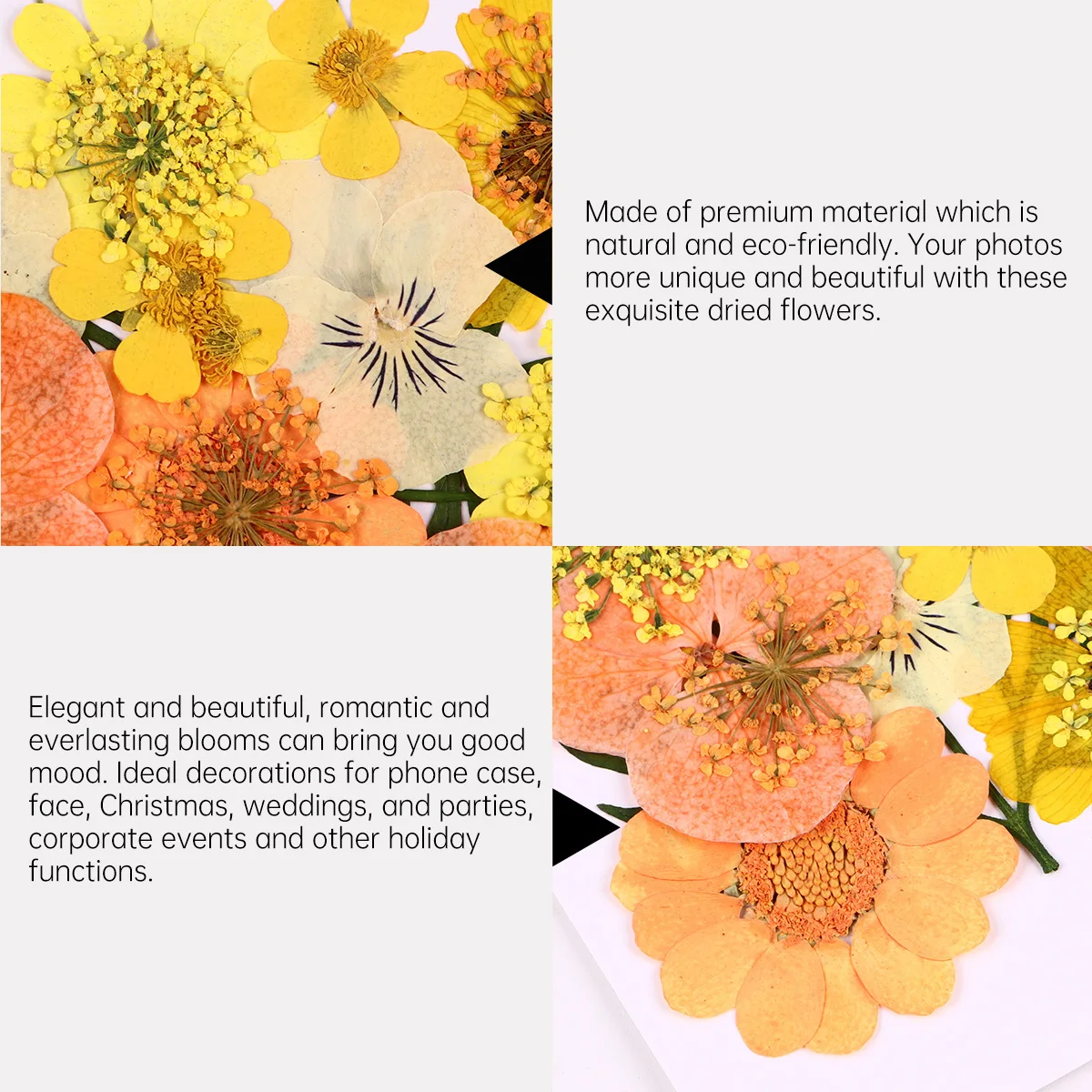 

40Pcs Elegant Natural Dried Flowers Beautiful Real Pressed Orange Colorfast DIY Craft Decorations Beautiful Dried Flowers